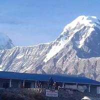 Mardi Himal Base Camp 